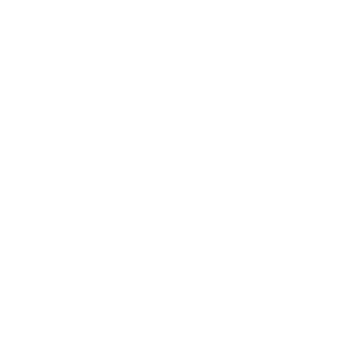 Sir Rod and The Blues Doctors